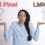 Rental investment: Pinel law or LMNP?