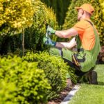 5 tips for maintaining your garden