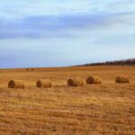Notary fees for the purchase of agricultural land, namely