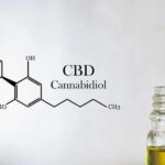 CBD oil: the best way to consume CBD