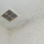 How to get rid of mold on the walls?