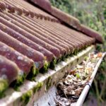 Roof cleaning: everything you need to know