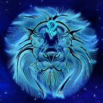 Leo Decans: Dates and Differences