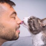 Adopted cat: how to take care of him?